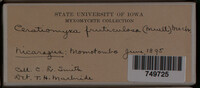 Image Associated With the Occurence